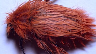 2 bin 340 rakımda keşfedildi, rengi şaşkına çevirdi