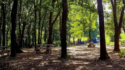 Bursa’da kiralık mesire alanı!