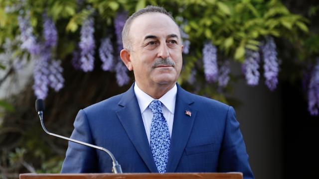 Bakan Çavuşoğlu Slovenya’da