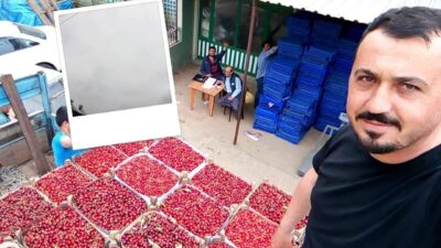 Bursa’da mevsimin ilk karabodur kirazı görücüye çıktı