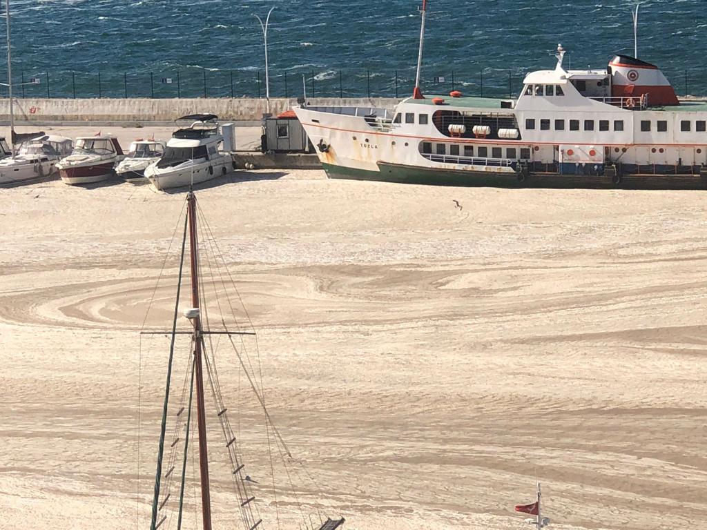 Bursa’da herkes şaşkın; Böyle bir şey görmedik!