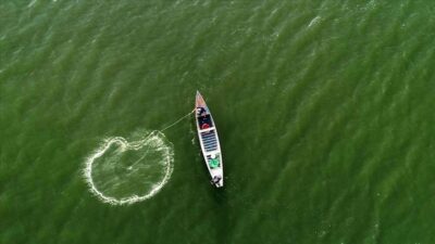 Çölün ortasındaki mucize…