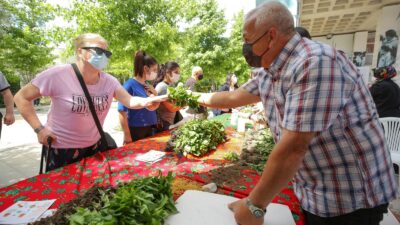 Nilüfer’de balkonlar mini bostana dönüşecek