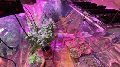 Bursa Polisi’nden bir operasyon daha! Odaya sistem kurmuşlar