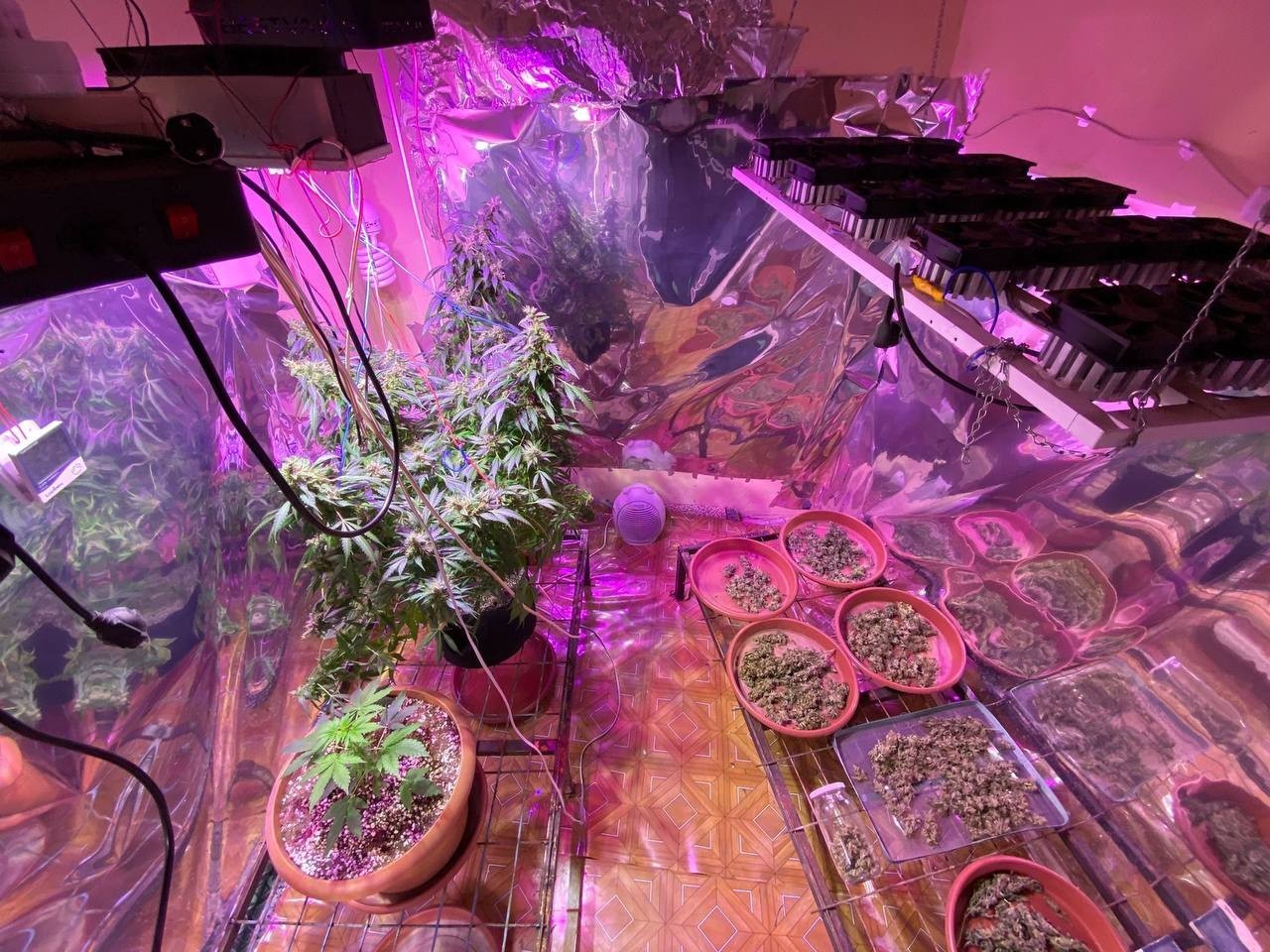 Bursa Polisi’nden bir operasyon daha! Odaya sistem kurmuşlar Bursa Polisi’nden bir operasyon daha! Odaya sistem kurmuşlar