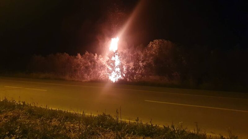 Bursa’nın İznik ilçesinde seyir halindeki odun yüklü bir kamyonet alev