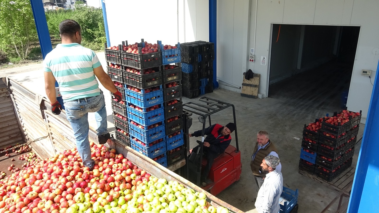 Bursa’da tonlarca meyve soğuk hava depolarında kaldı