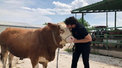 Bursa’da kurban hareketliliği başladı