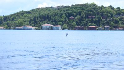 Şoke eden açıklama: ‘Türkiye’de yaz turizm olmayacak, Aralık ayında denize gireceğiz’