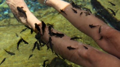 Hastalar 1 haftada şifa buluyor! Dünyanın dört bir yanından turist geliyor…