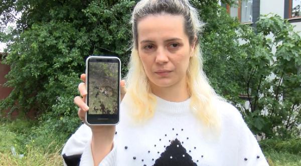 Sitede kürekli dehşet! ‘Bunu insan yapmaz’