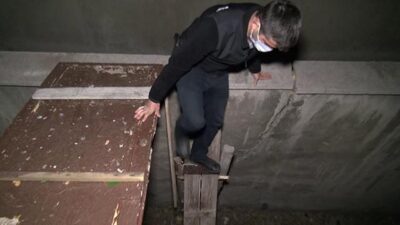 Polisten kaçmak için iki bina arasına köprü kurmuşlar