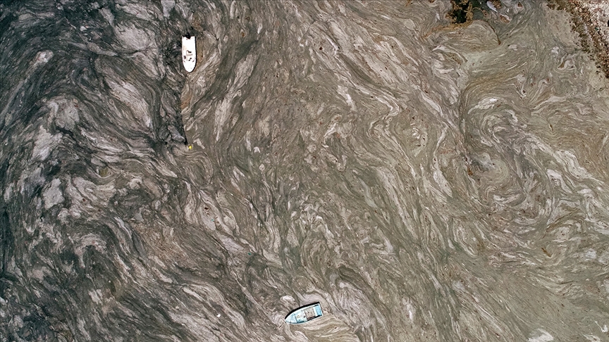 Bakan’dan ‘Marmara Denizi’ açıklaması