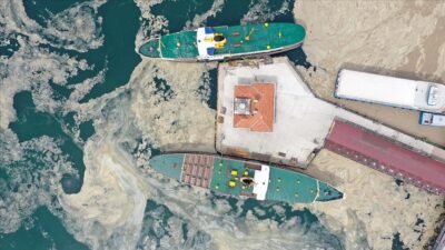 Deniz salyası ‘sahte dip yapısı’ oluşturarak balıkları olumsuz etkiliyor