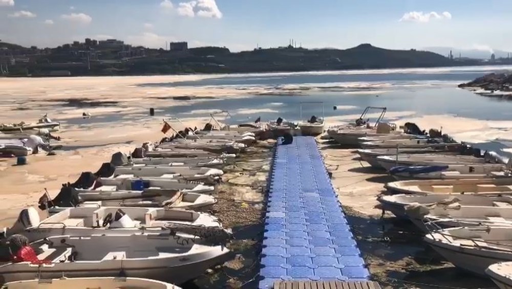 Deniz salyasıyla ilgili korkutan açıklama: Dipte oranlar yüksek çıktı