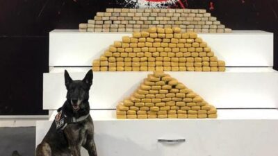 Polisin durdurduğu kamyonetten 139 kilo uyuşturucu çıktı