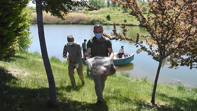 Köpeği içine taş koydukları poşetle Porsuk Çayı’na attılar