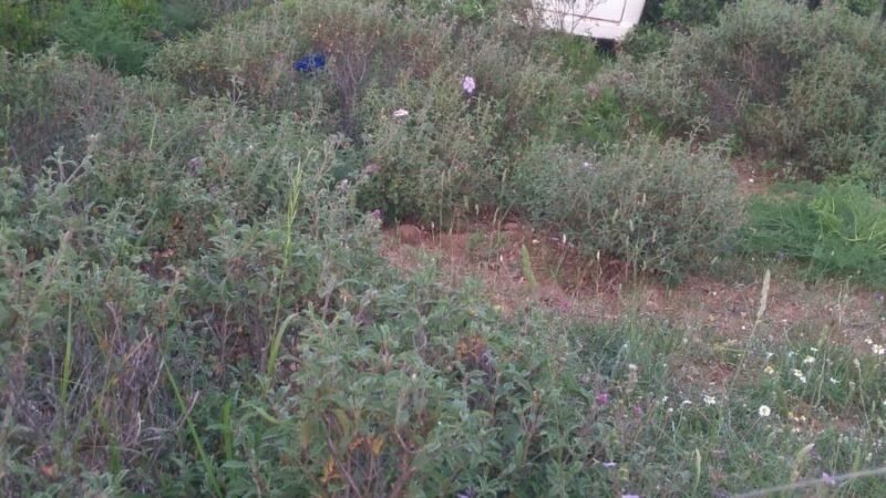 Yalova’da çalışan panelvan araç İznik’te bulundu.