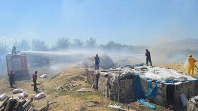 Buğday tarlası yandı! 4 kişi hastanelik oldu