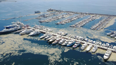 Deniz müsilajının görülme sıklığı katlanarak artıyor