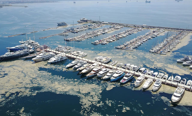 Deniz müsilajının görülme sıklığı katlanarak artıyor