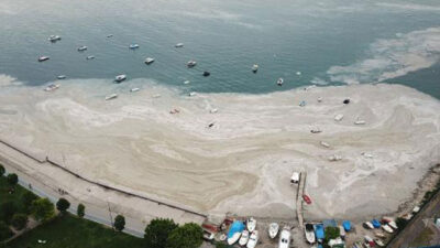 İlk sonuçlar belli oldu! İşte müsilajın nedeni