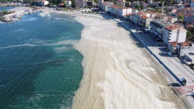 Müsilaj sonrası gündeme geldi! Yüzmek tehlikeli mi?