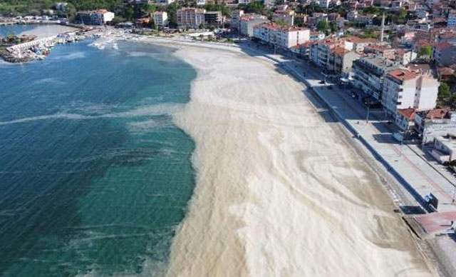 Müsilaj sonrası gündeme geldi! Yüzmek tehlikeli mi?