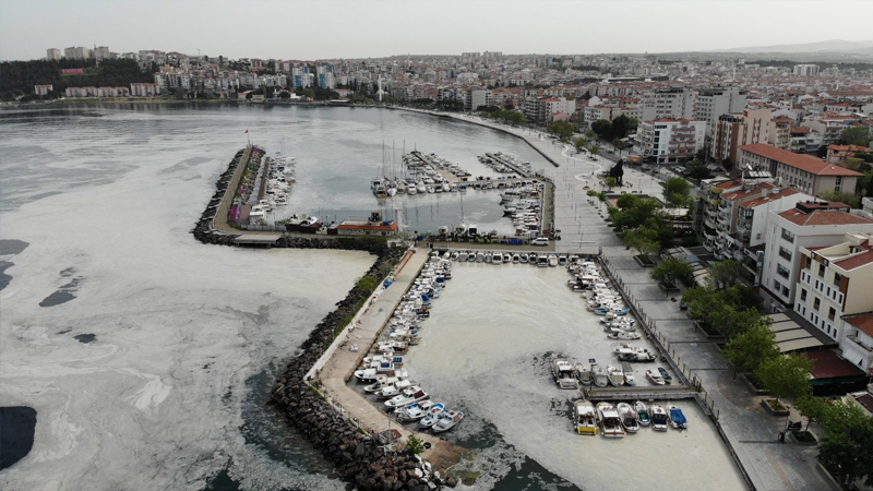 Uzman isimden açıklama! Marmara Denizi komada…