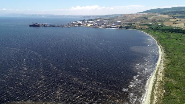 Sahillerin kumu siyaha boyandı! ‘Denize girmek intihar gibi’