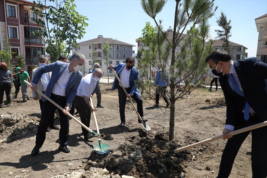 173 fidan toprakla buluştu 173 fidan toprakla buluştu