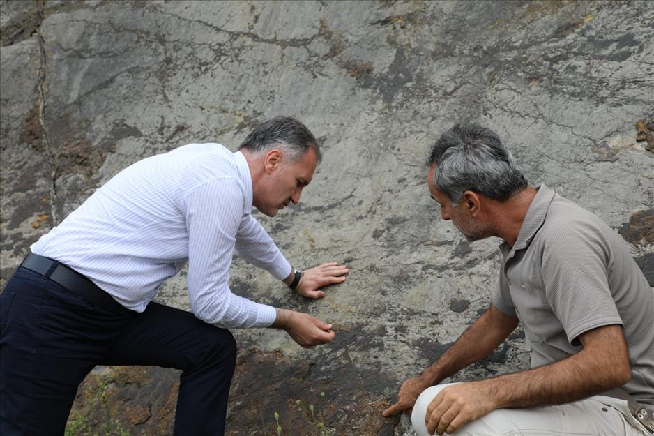 İnegöl’ün doğa tarihi mercek altında