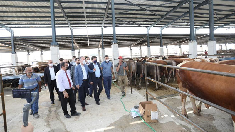 İnegöl’de yeni hayvan pazarında kurbanlıklar satışta