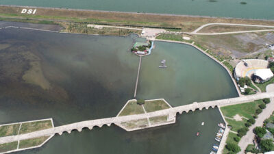 Korkutan gelişme! Gölün rengi değişti, ölü balıklar kıyıya vurdu