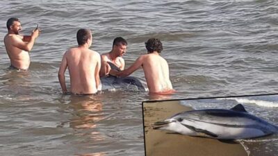 2 gün önce böyle kurtarılmıştı! Cansız bedeni kıyıya vurdu