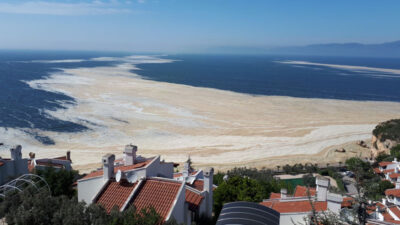 Marmara Denizi’ndeki çevre felaketi ekonomi için fırsat olabilir