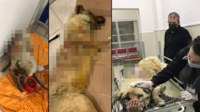 Kan donduran canilik! Baltayla katledildi