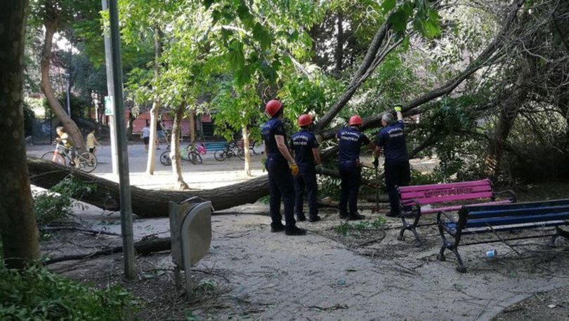 Parkta faciadan dönüldü