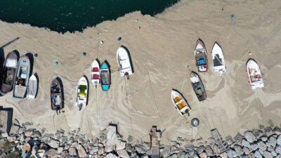 Laboratuvarda incelendi! Sonuçlar dikkat çekici