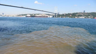 Boğaz kahverengi oldu! Bu kez deniz salyası değil