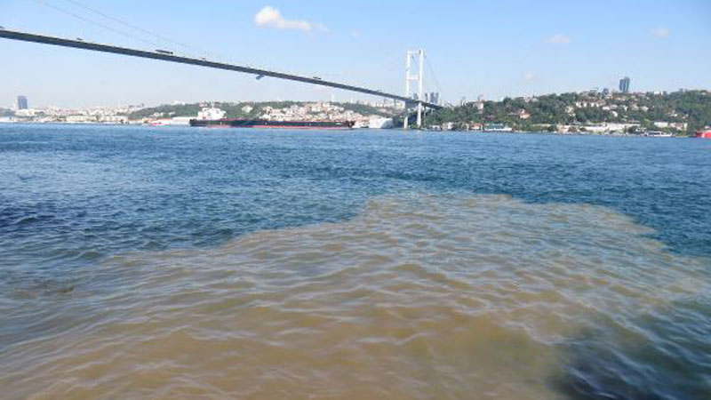 Boğaz kahverengi oldu! Bu kez deniz salyası değil