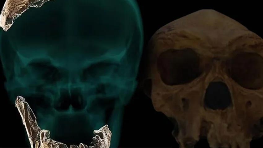 Bilim dünyası şokta! Yeni bir insan türü bulundu Bilim dünyası şokta! Yeni bir insan türü bulundu