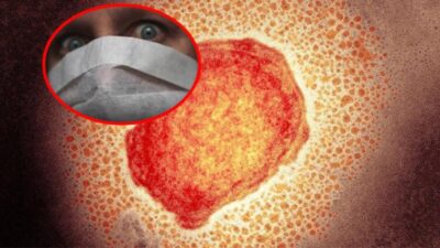 Koronavirüs bitmeden yeni salgın!