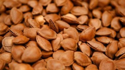 Günde 8 tanesi kalp krizini önlüyor!