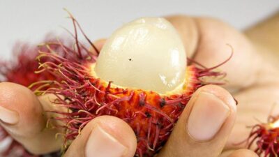 Tansiyonu dengeliyor! Böbrekleri temizliyor!