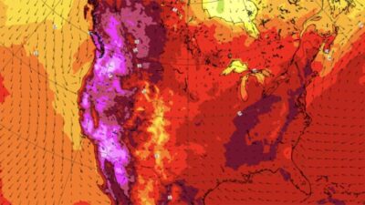 Kitlesel ölümler başladı!