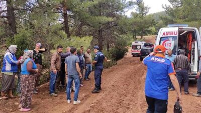 Kekik tarlasına yıldırım isabet etti! 2’si ağır 6 yaralı