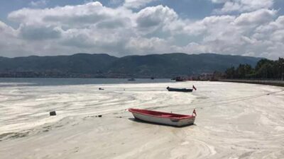 Meteoroloji Uzmanı Özdemir: Hava sıcaklığı müsilajı da artıracak