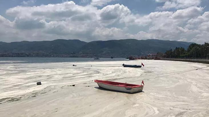Meteoroloji Uzmanı Özdemir: Hava sıcaklığı müsilajı da artıracak