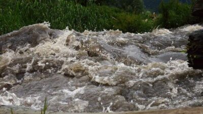 Korkunç görüntüler Bursa’dan! Marmara Denizi işte böyle kirleniyor